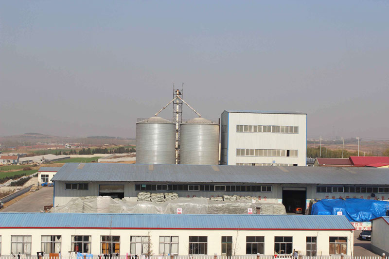3000 ton cement storage steel silo supplier in China