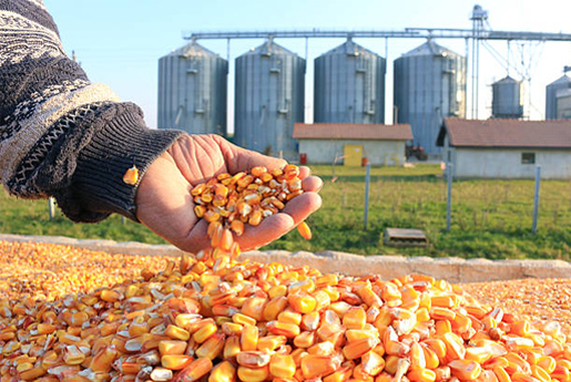 corn-silo